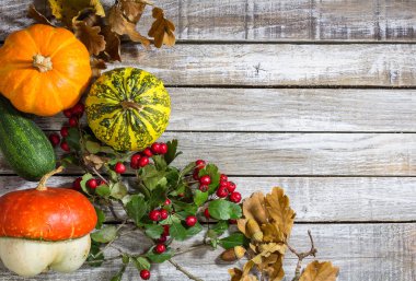 Meşe palamudu, ahşap arka plan üzerinde brier ile dekoratif kabak