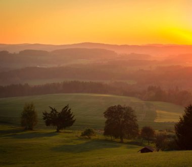 Ağaçlar, Çek manzara ile tepelerde güzel günbatımı