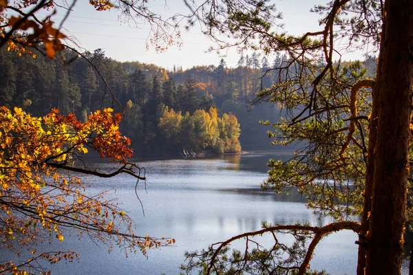 Höstens Färgglada Träd Dam Rimov Med Reflektion Vatten Genom Filial — Stockfoto