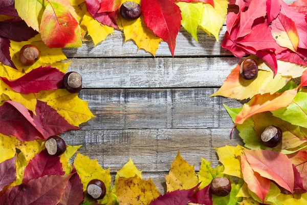 Bunte Herbstblätter Mit Kastanien Auf Weißem Holz Hintergrund — Stockfoto
