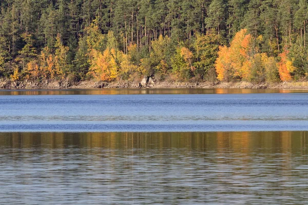 Detail Pohon Musim Gugur Berwarna Warni Dengan Air Lanskap Ceko — Stok Foto