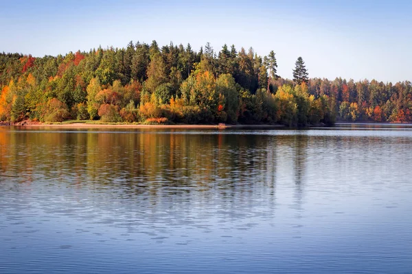 Mooie Herfst Kleurrijke Bomen Met Reflectie Water Tsjechische Landschap — Stockfoto