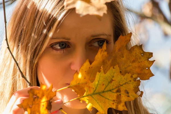 Portrait Young Beautiful Woman Autumn Leaves — Stock Photo, Image