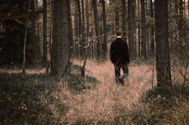 Genç adam fotoğraf renkli sonbahar ormanda yürümek