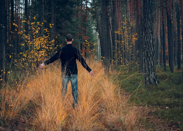 Молодий Чоловік Стоїть Осінньому Лісі Рукою Вгору Кольорові Фото — стокове фото