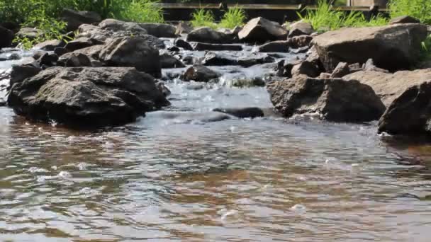 Pequeño Vertedero Sobre Piedras Con Agua — Vídeos de Stock