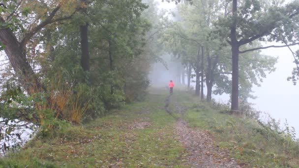 Young Woman Run Foggy Weather Ponds Dam — Stock Video