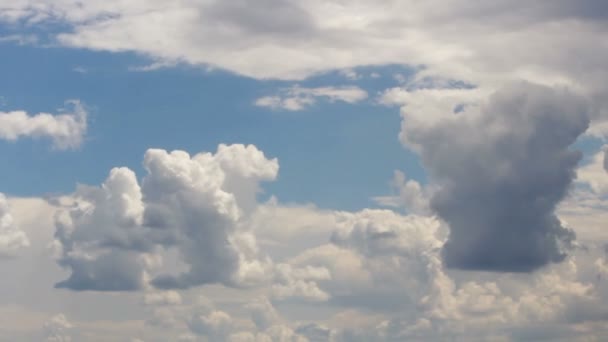 Timelapse Bílé Cumulus Mrak Modré Obloze — Stock video
