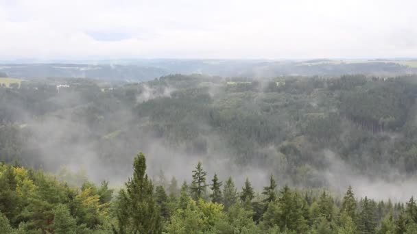 Nebbia Pluviale Alberi Colline Paesaggio Ceco — Video Stock