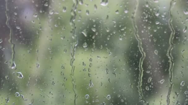 Deszczowa Pogoda Krople Deszczu Oknie Bliska — Wideo stockowe