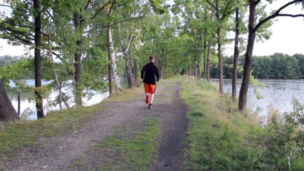 Junger Mann Auf Damm Von Teich Gelaufen — Stockvideo