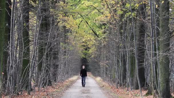 Hombre Joven Caminar Calle Otoño Desde Frente — Vídeos de Stock