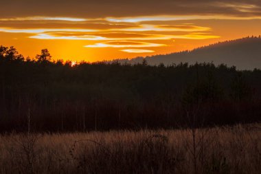 Tepeler ve ağaçlar güzel günbatımı