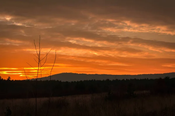 Oranje Amazing Zonsondergang Hill Tsjechische Landschap — Stockfoto