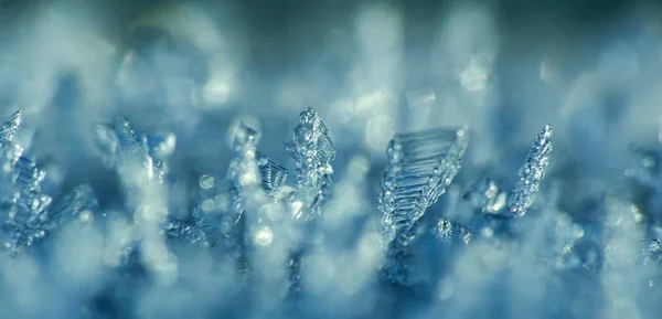 Makro Śnieg Mróz Kolorze Cyjan — Zdjęcie stockowe
