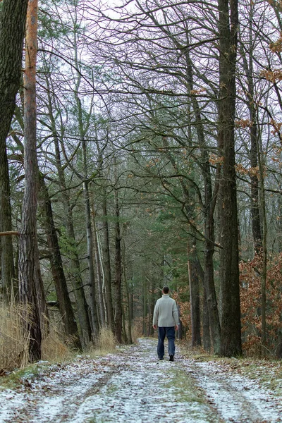 Young man standing on winter forest path in sweater