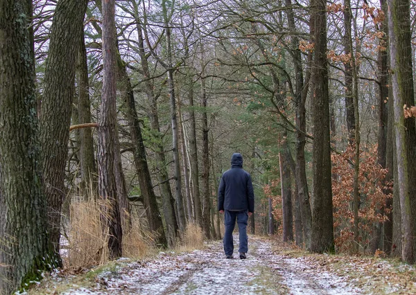 Young Man Standing Winter Forest Path Jacket — Stock Photo, Image