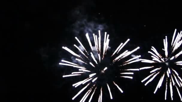 Feux Artifice Colorés Sur Ciel Sombre Nuit — Video