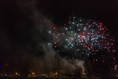 Gece karanlık gökyüzü üzerinde renkli havai fişek