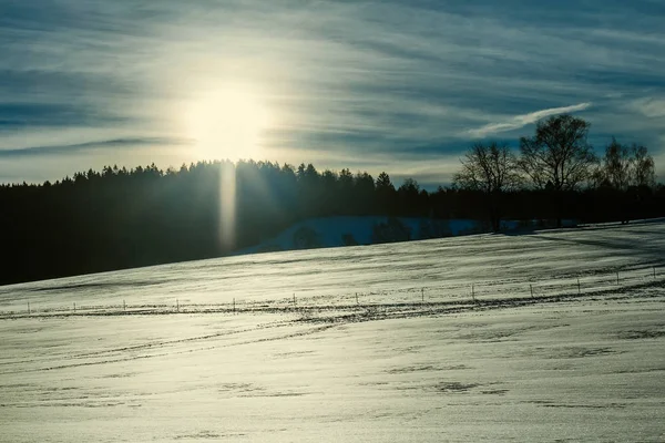 Pěkný Český Zimní Krajina Stromy Slunce — Stock fotografie