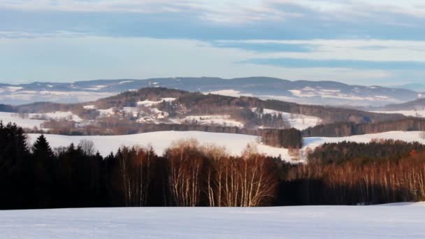 Winter Tsjechische Landschap Met Sneeuw — Stockvideo