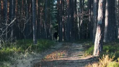Bahar çim yolda çalışan genç adam 