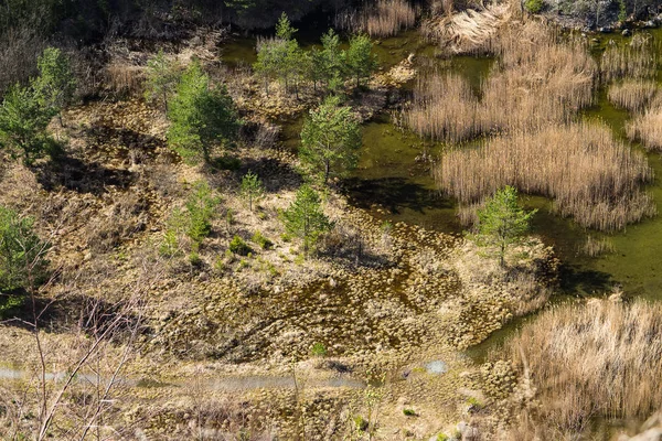 Vista Aérea Para Pedreira Inundada Com Grama Seca Alta Árvores — Fotografia de Stock