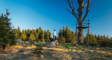 Siyah şapkalı genç adam ormanda duruyor, Novohradske hory, Çek Cumhuriyeti