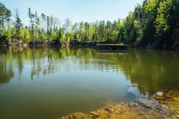 Piccola Cava Paludosa Con Acqua Alberi Cielo Blu Repubblica Ceca — Foto Stock