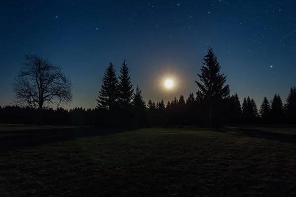 Krásná Hvězdná Noc Stromy Měsícem Novohradske Hory Česká Krajina — Stock fotografie