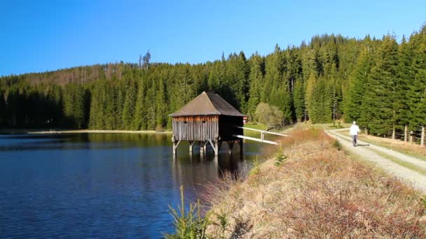 木造家屋と田舎道を歩く男と穏やかな湖の風光明媚な映像 — ストック動画