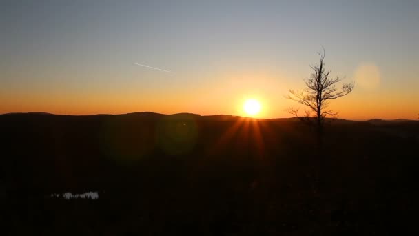 风景风景的日落镜头在森林草地上与池塘 — 图库视频影像