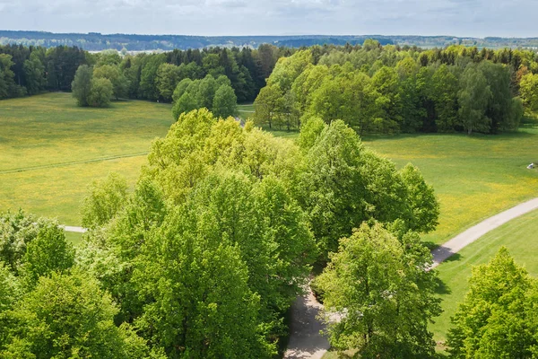 Çayır, ağaçlar ve patika, Çek manzara için güzel hava manzarası
