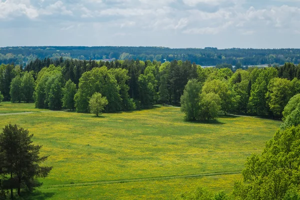 Yeşil ağaçlar, Çek manzara ile çayır güzel hava manzarası