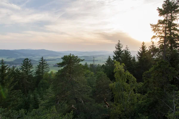 Nice sunset with trees and valley, czech landscape — Stock Photo, Image