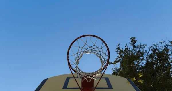 Outdoor-Basketballkorb mit Netz, Bäumen und blauem Himmel von unten — Stockfoto