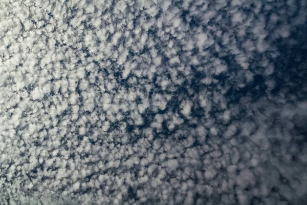 Nice small white cumulus cloud on blue sky — Stock Photo, Image