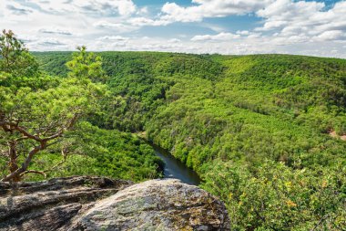Nehir Dyje, orman ve kaya, Ulusal p ile vadiye güzel bir görünüm