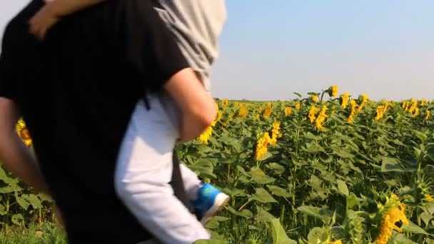Father Son Walking Sunflowers Daytime — Stock Video