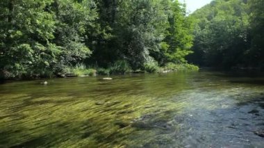 gündüz nehir Dyje dere görünümü 