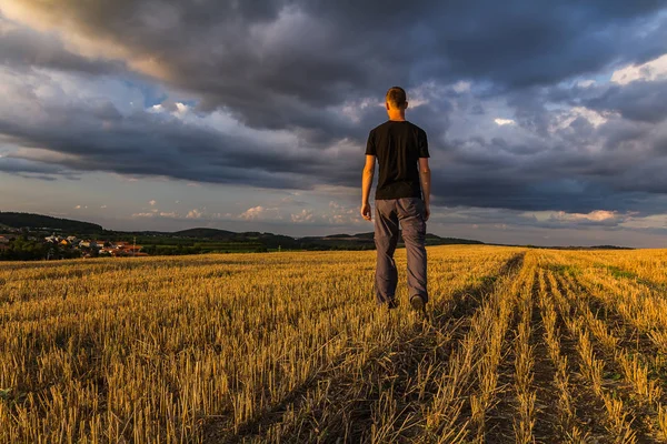 Jovem de pé no campo cortado com céu dramático ao pôr-do-sol, C — Fotografia de Stock
