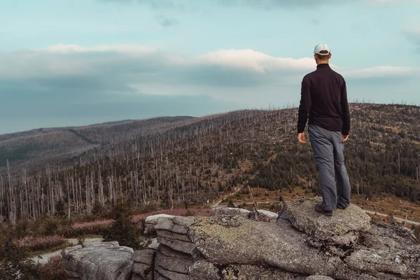 Joven turista en gorra blanca de pie y mirando al árbol muerto — Foto de Stock