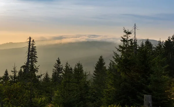Hezký východ slunce se stromy, vzdáleným kopcem a mlhou na Tristolicniku. S — Stock fotografie