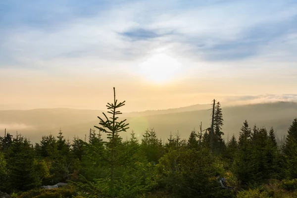 Východ slunce se stromy, vzdáleným kopcem a mlhou na Tristolicniku. Šumava — Stock fotografie