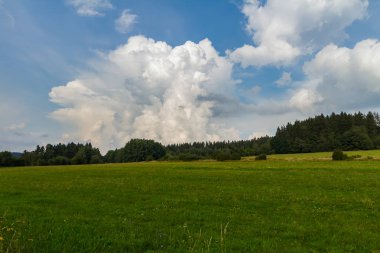 Mavi gökyüzü ile Amazing bulut, ağaçlar ile yaz çek çayır, Sum