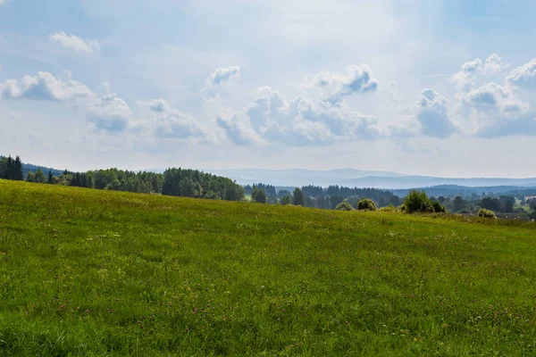 Bella vista sul prato ceco estivo con alberi, collina lontana e cl — Foto Stock