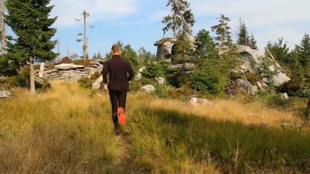 Jovem Caminhando Floresta — Vídeo de Stock