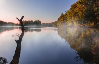 Gölet, sis ve ağaç gövdesi ile Nice sonbahar yaprakları. Çek landsca