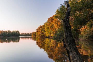 Gölet ve ağaç gövdesi ile nice sonbahar yaprakları. Çek manzara