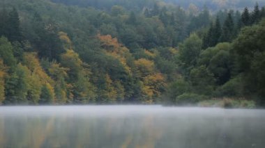 Vltava nehrinin eteklerindeki sisli sonbahar yapraklarıyla birlikte. 